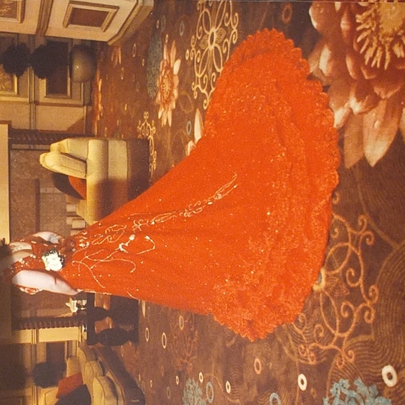 Beautiful Fancy Dress - Picture 4 of 9